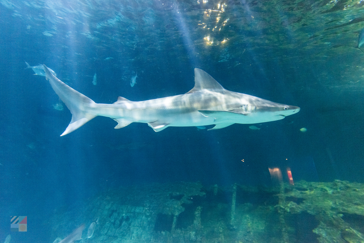 Fun Facts about Nags Head