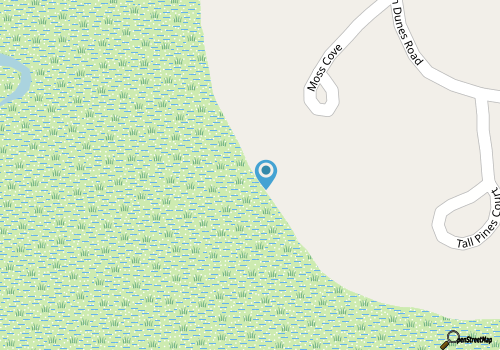 893 Salt Cedar - Community Pool map location