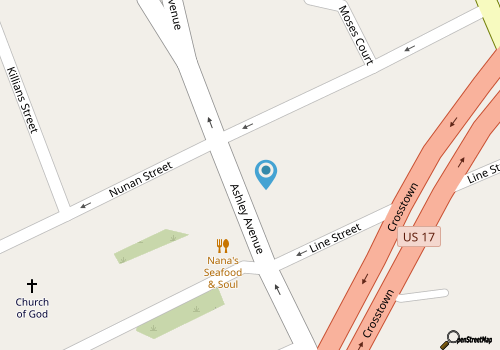 The Velvet Magnolia House- Historic 3-bedroom apartment in charming Charleston map location