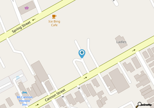 Luxurious, Spacious & Historic- 5 Min Walk to King map location