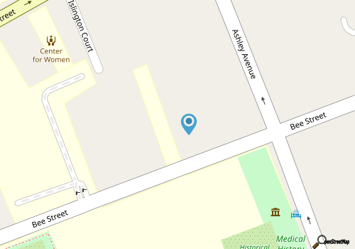 Expansive 1 Bedroom that Sleeps 4 in Downtown Chs map location