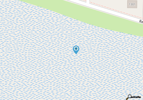 Newest Cottage Downtown. Pets are allowed map location