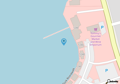 ReelFowl Charters map location