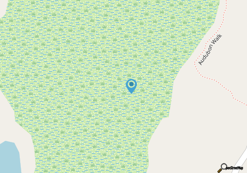 Tranquil Island Retreat on the Lake, Spacious, super clean, bikes, beach gear! map location