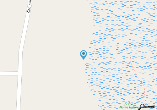 5BR2BA,Game Rm,FirePit,Golf,BBall,Near Parris Island map location