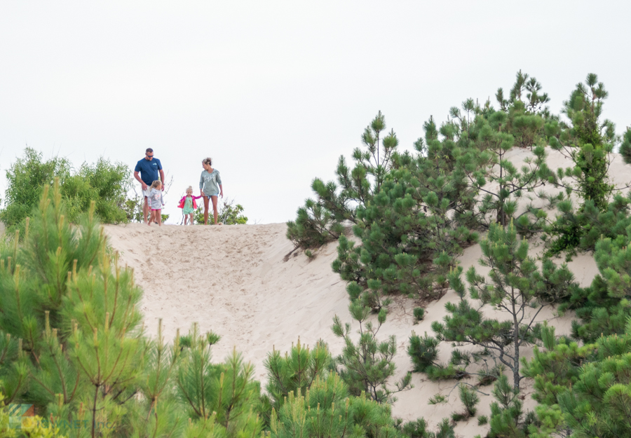 Jockeys Ridge State Park