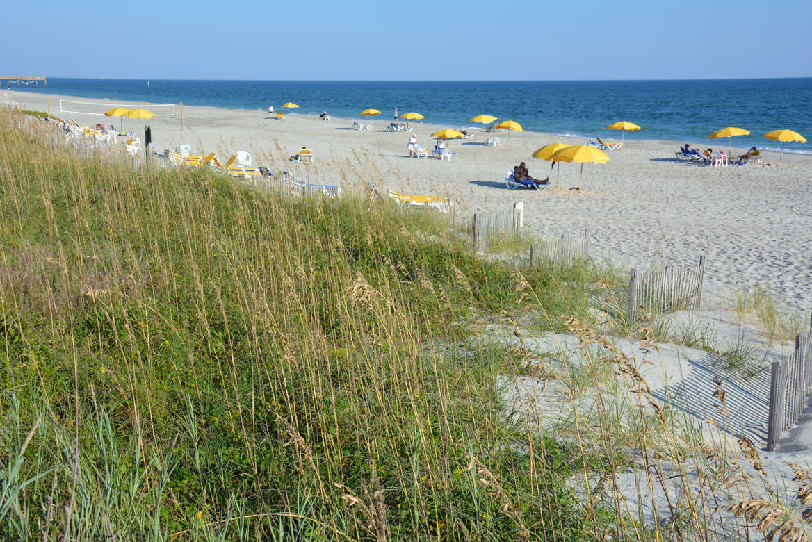 Crystal Coast, NC Area