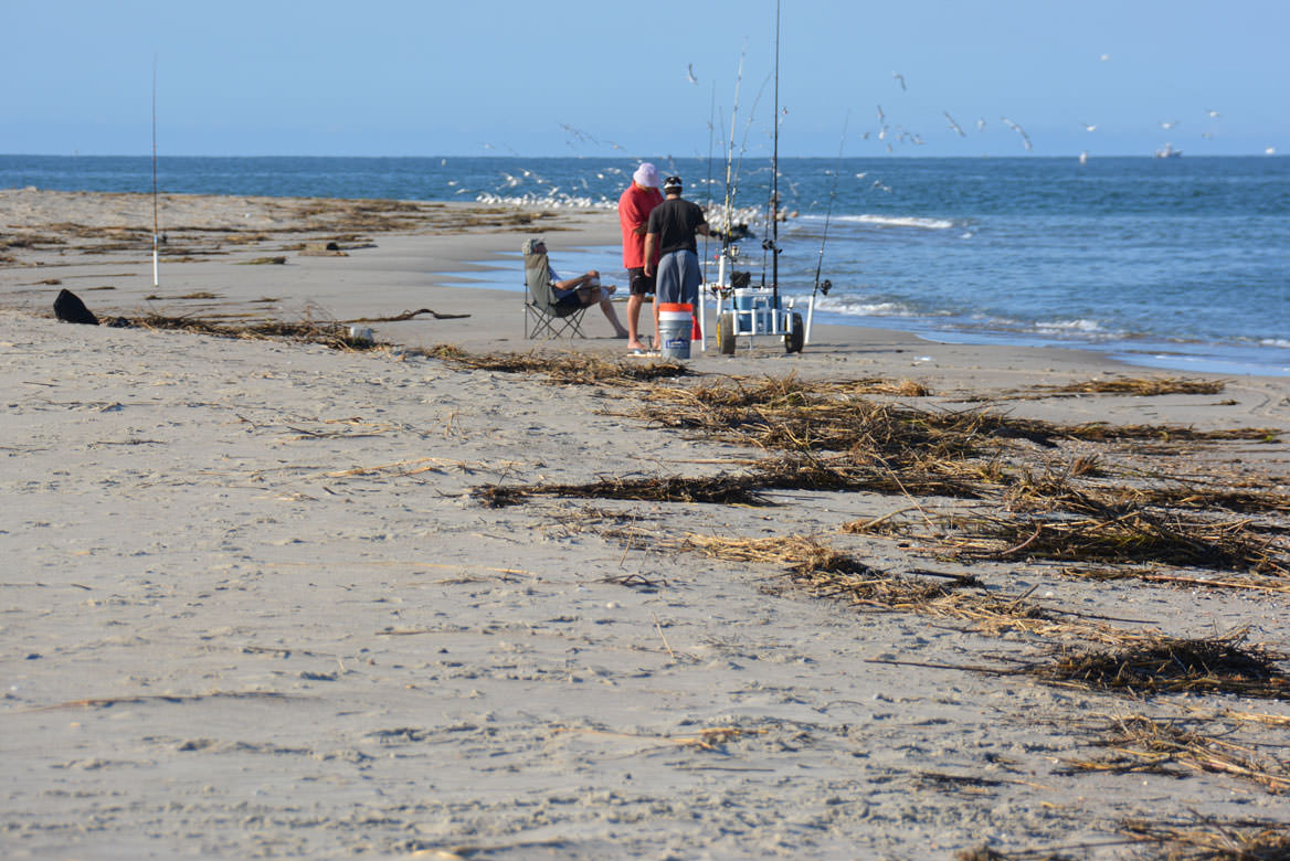 Cape Fear, NC Area
