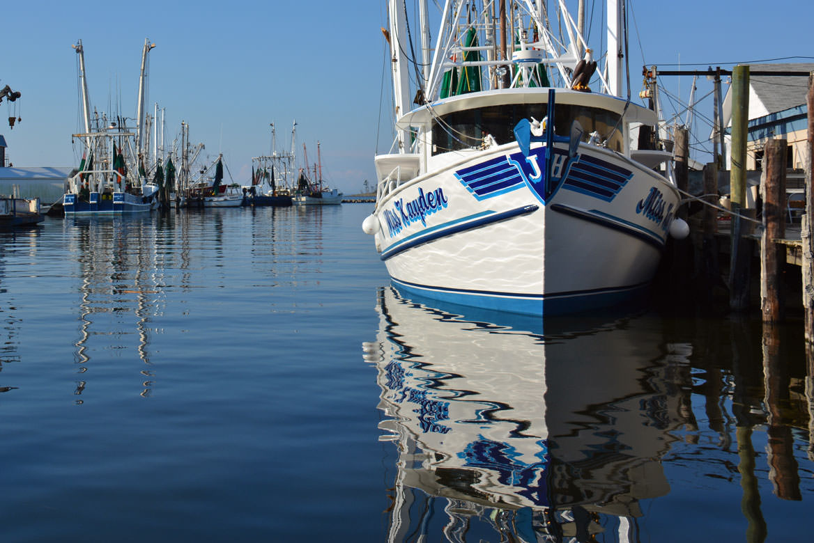 Pamlico, NC Area