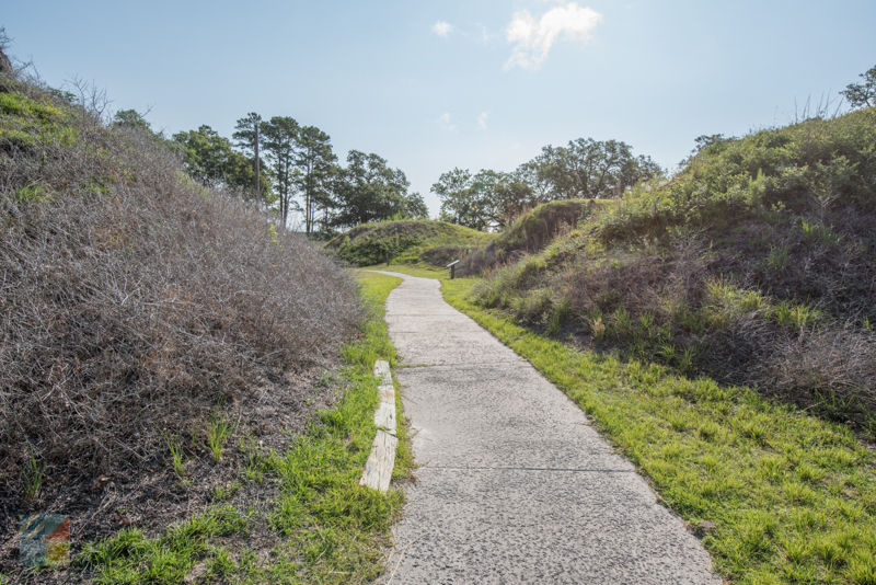 Fort Anderson - Old Brunswick Town