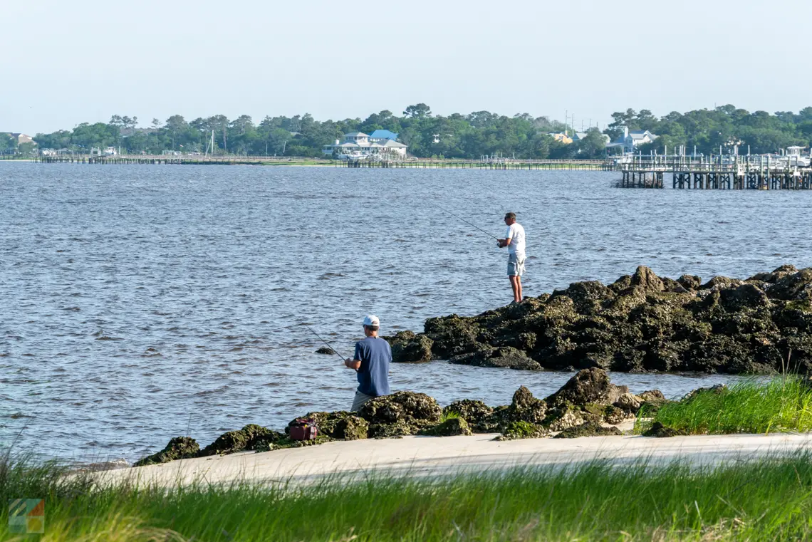 Carolina Beach State Park