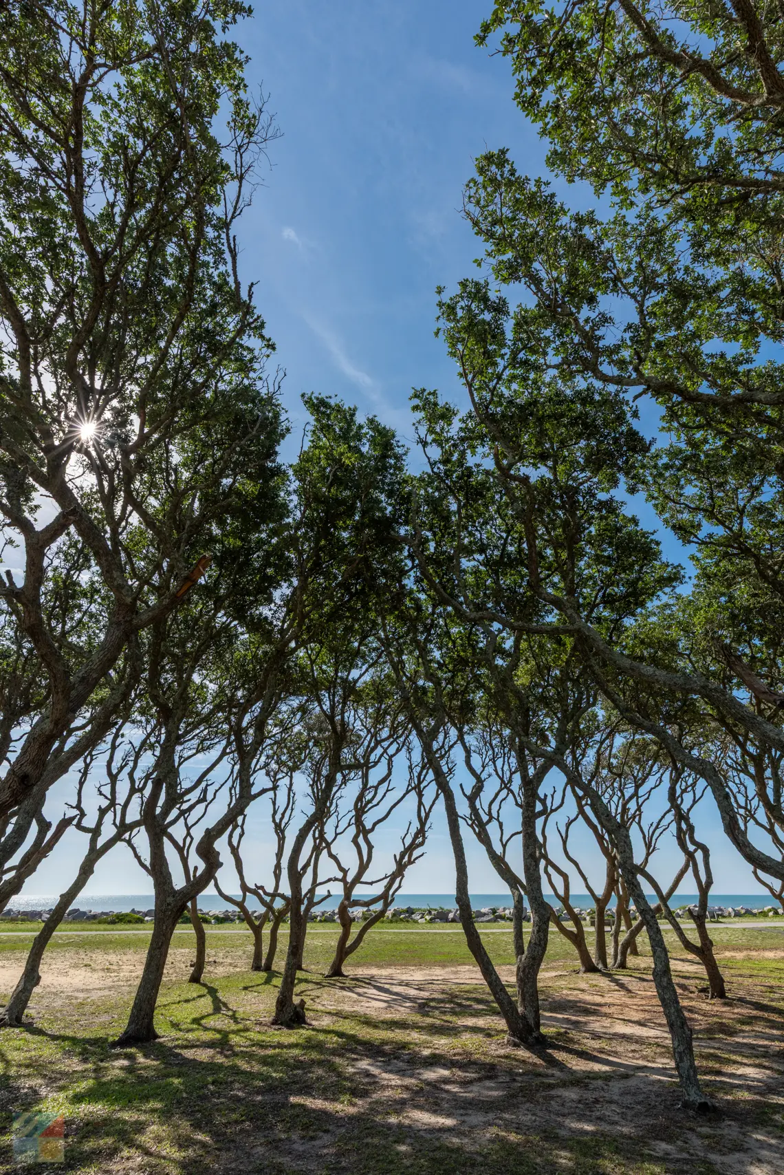 Fort Fisher State Historic Site