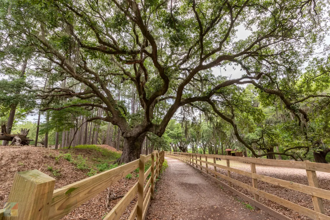 Brookgreen Gardens