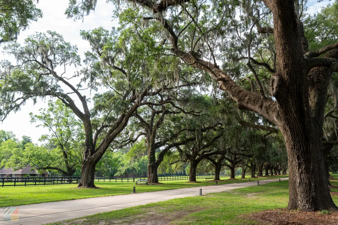 TBoone Hall Plantation, Mt. Pleasant, SC