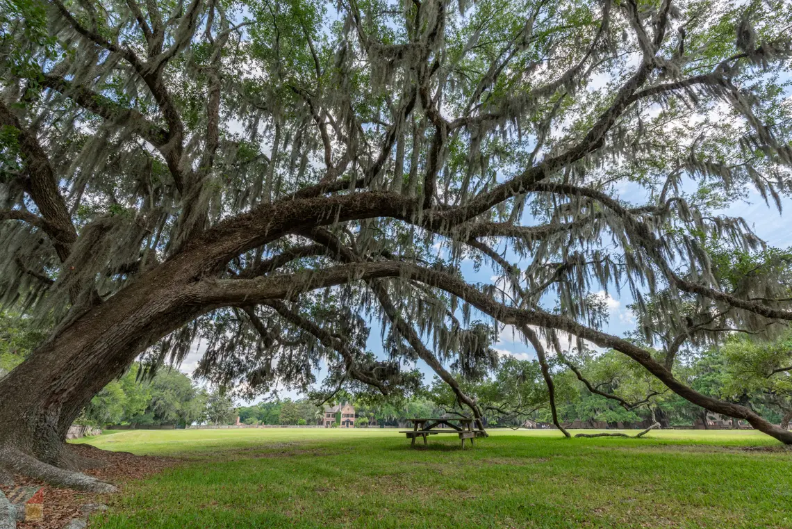 Middleton Place, SC