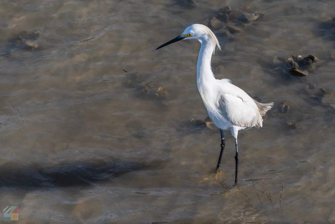 Hunting Island State Park