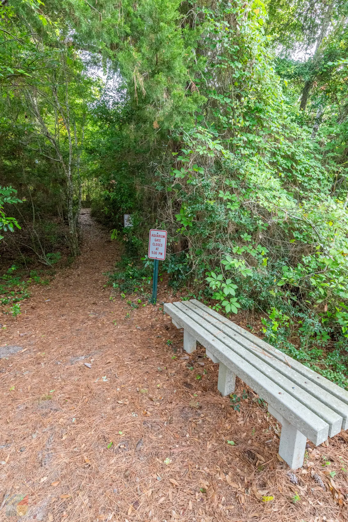 Theodore Roosevelt Natural Area