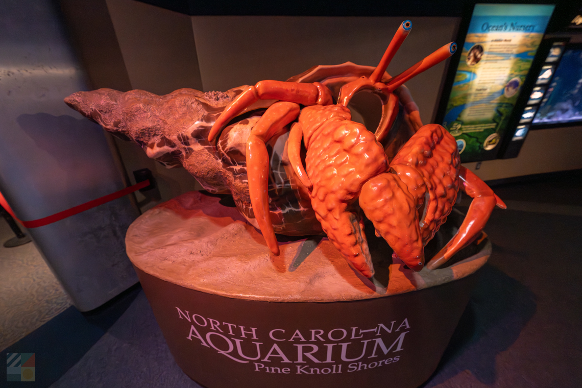 NC Aquarium Pine Knoll Shores