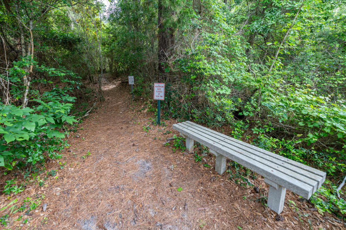 Theodore Roosevelt Natural Area
