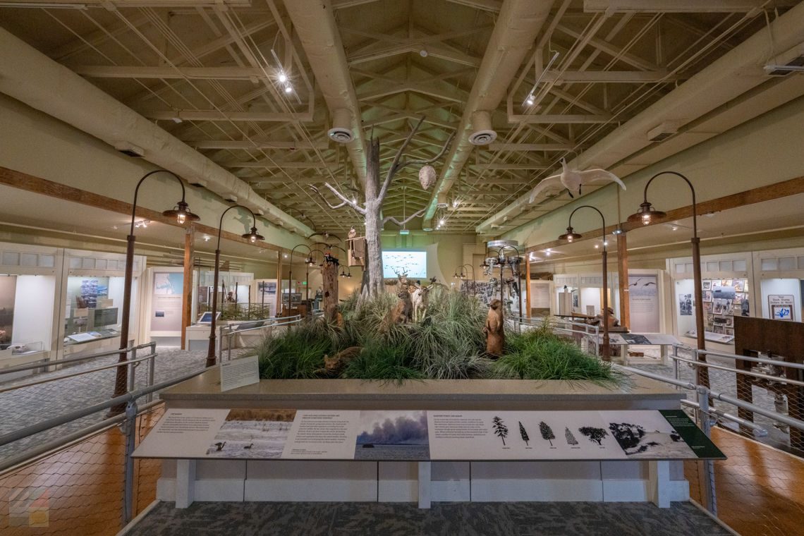 OBX Center for Wildlife Education