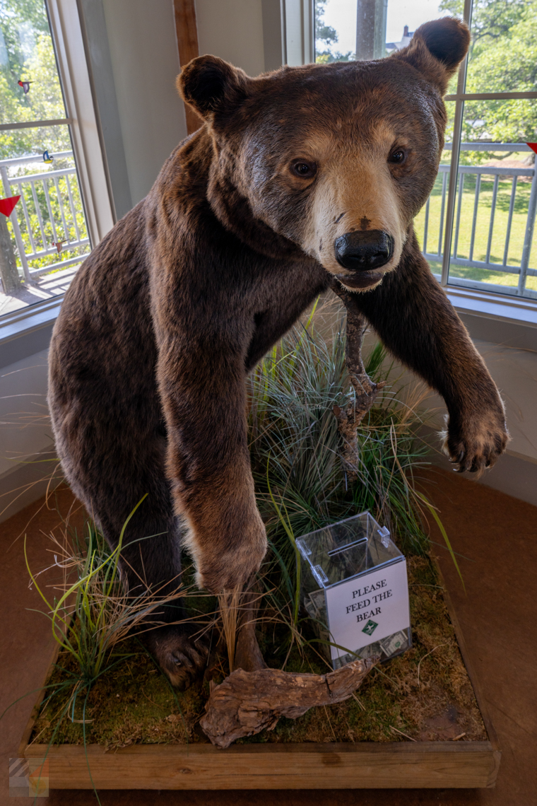 Outer Banks Center for Wildlife Education