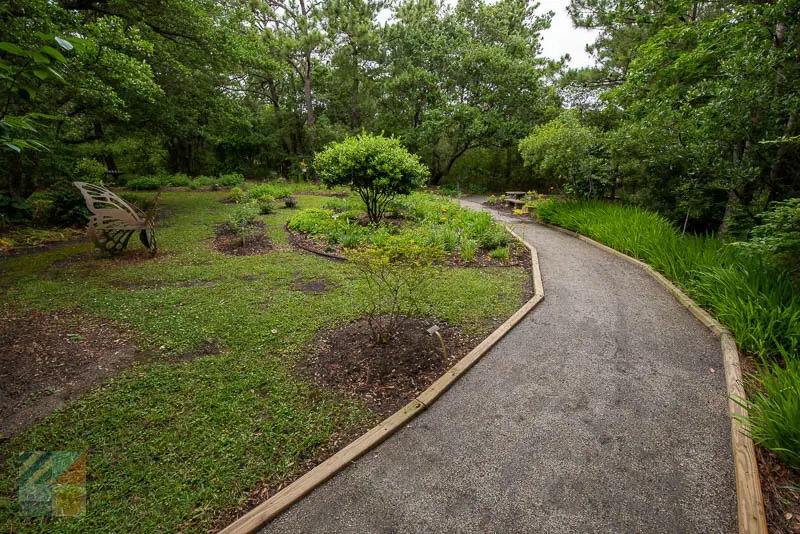Outer Banks Arboretum and Teaching Garden