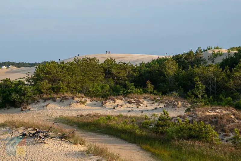 Jockeys Ridge State Park