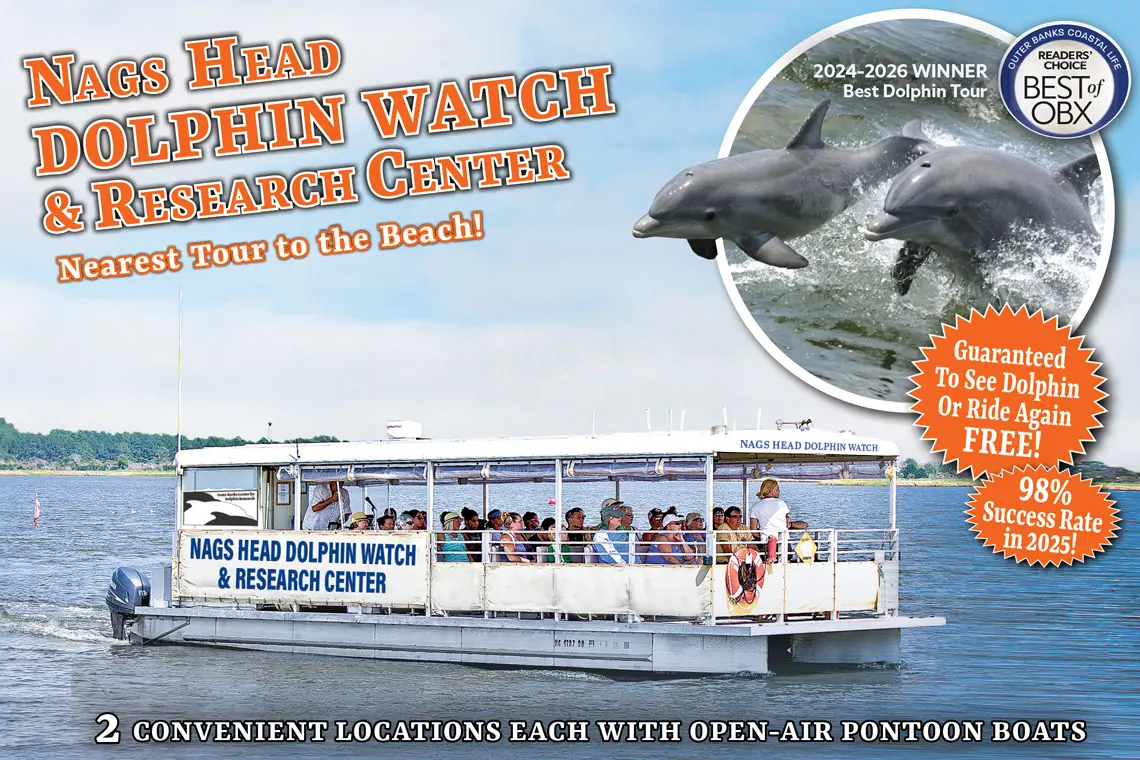 Nags Head Dolphin Watch
