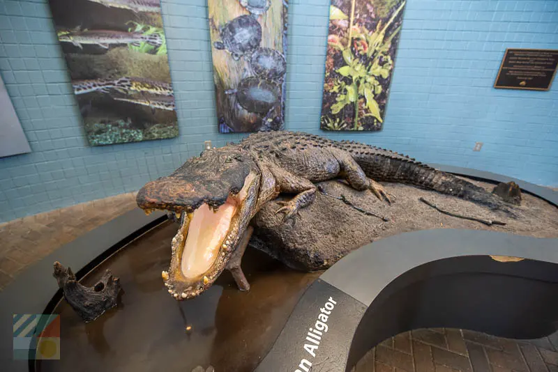 NC Aquarium at Fort Fisher