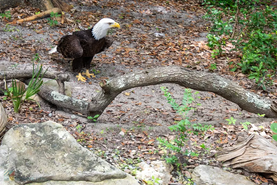 NC Aquarium at Fort Fisher