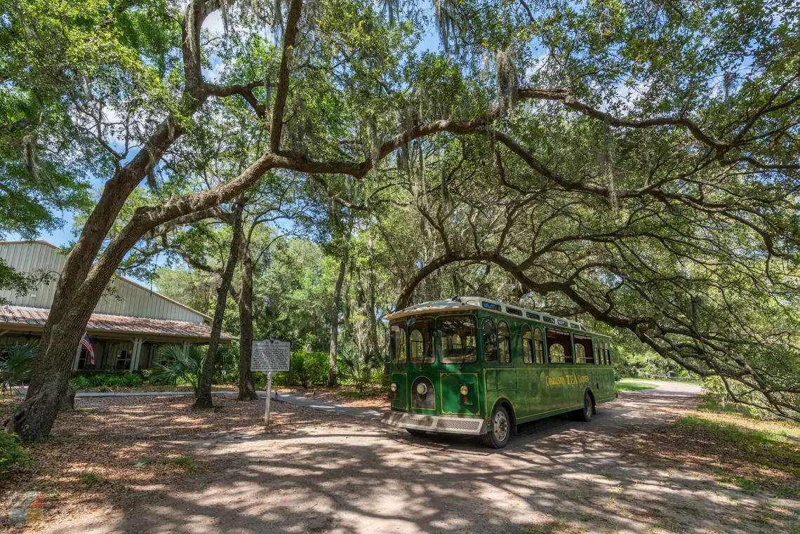 Charleston Tea Garden