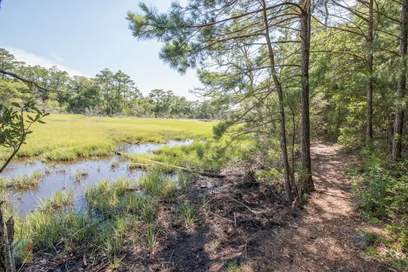 Theodore Roosevelt Natural Area