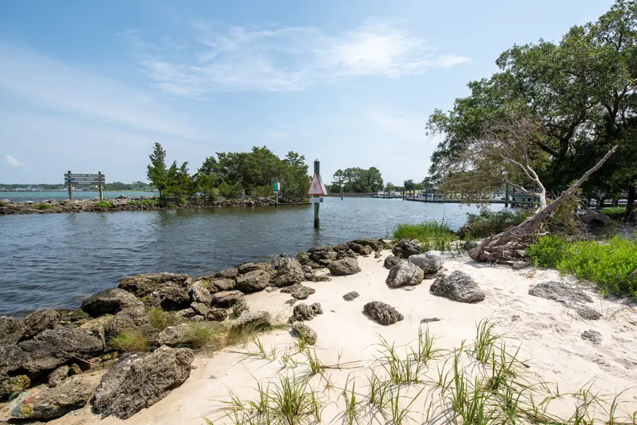 Carolina Beach State Park