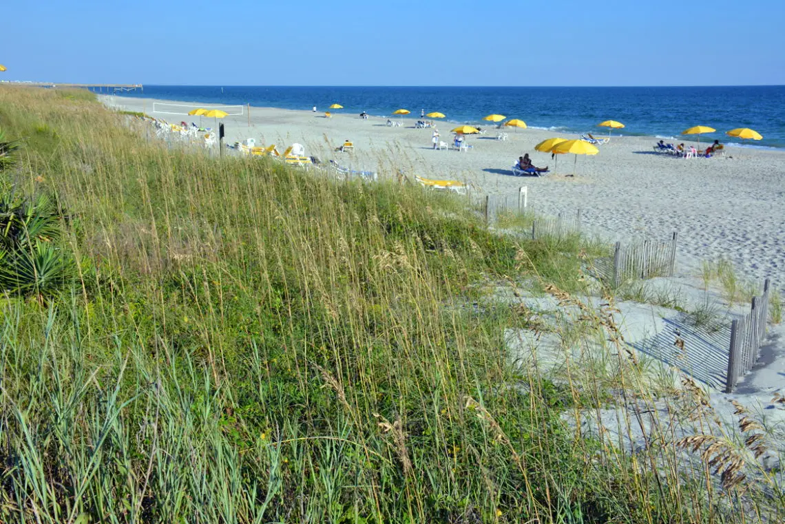 Link to CoastalGuide.com