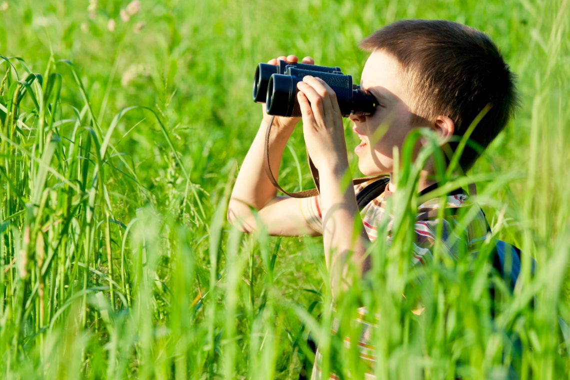 Activities for Kids