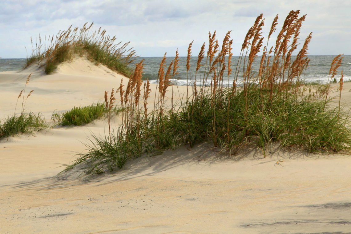 Kitty Hawk Beach Information