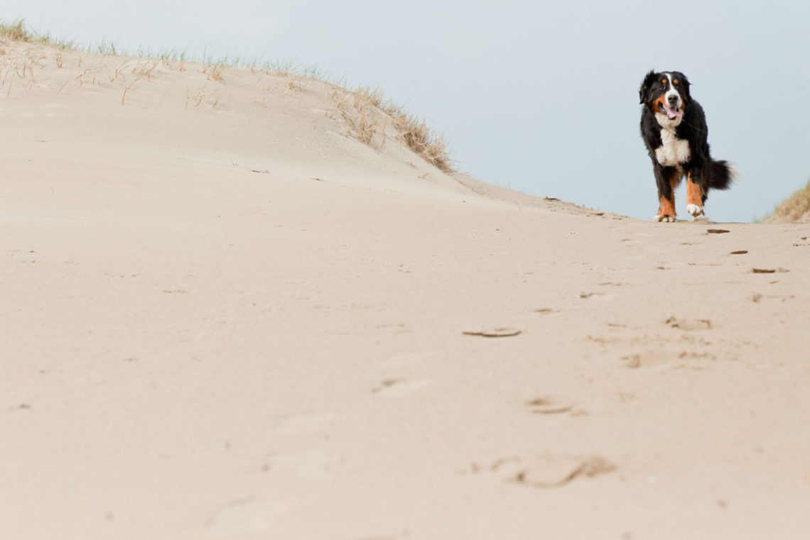 Nags Head Beach Information