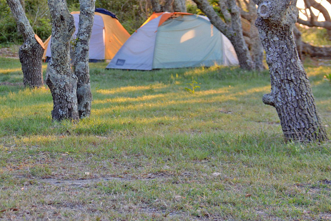 Camping near Morehead City