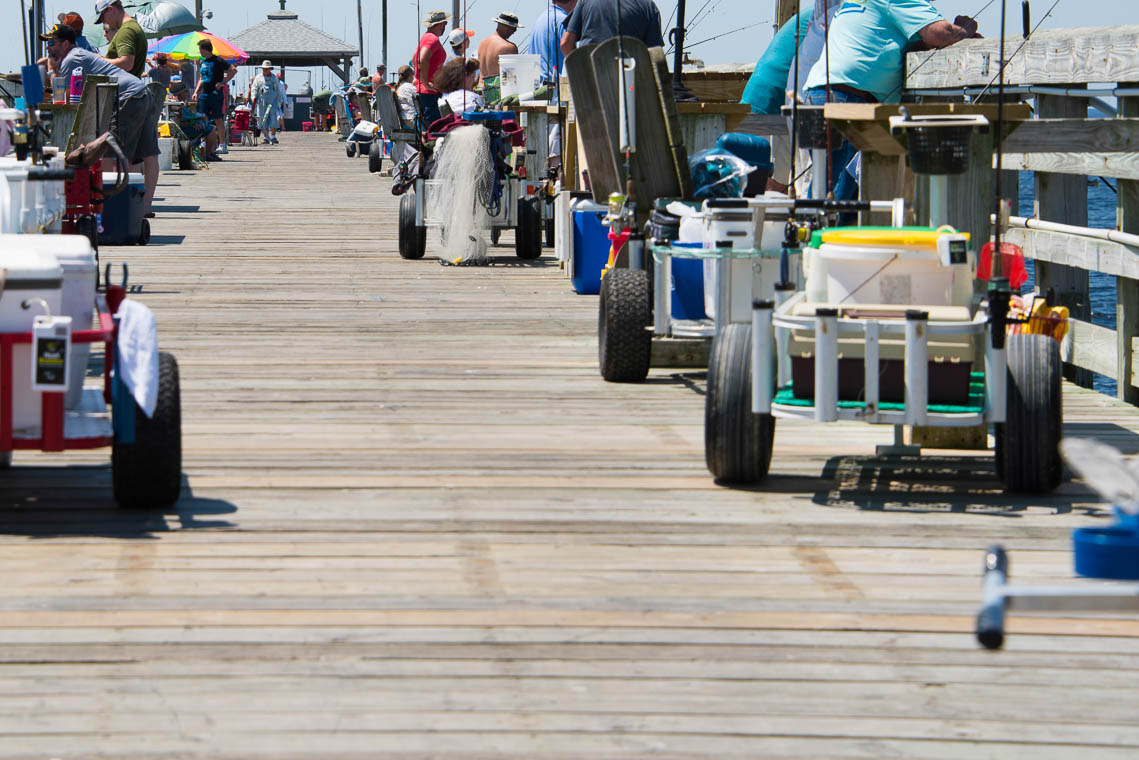 The 9 Best Fishing & Beach Carts for 2024