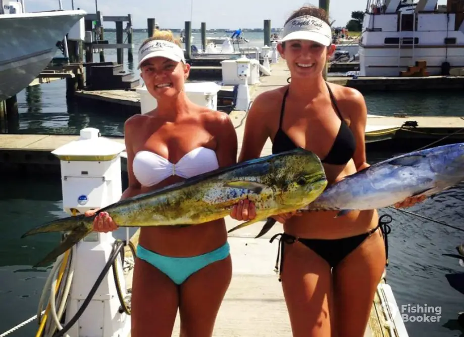Hitman Sportfishing