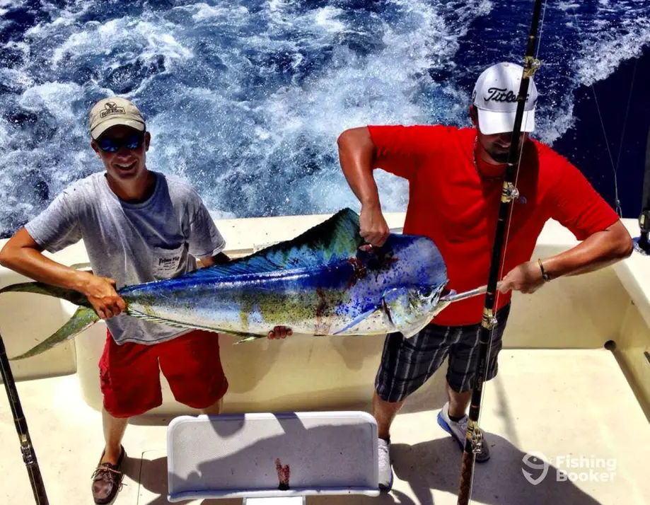 Sea Dream Offshore Charters charter image 6