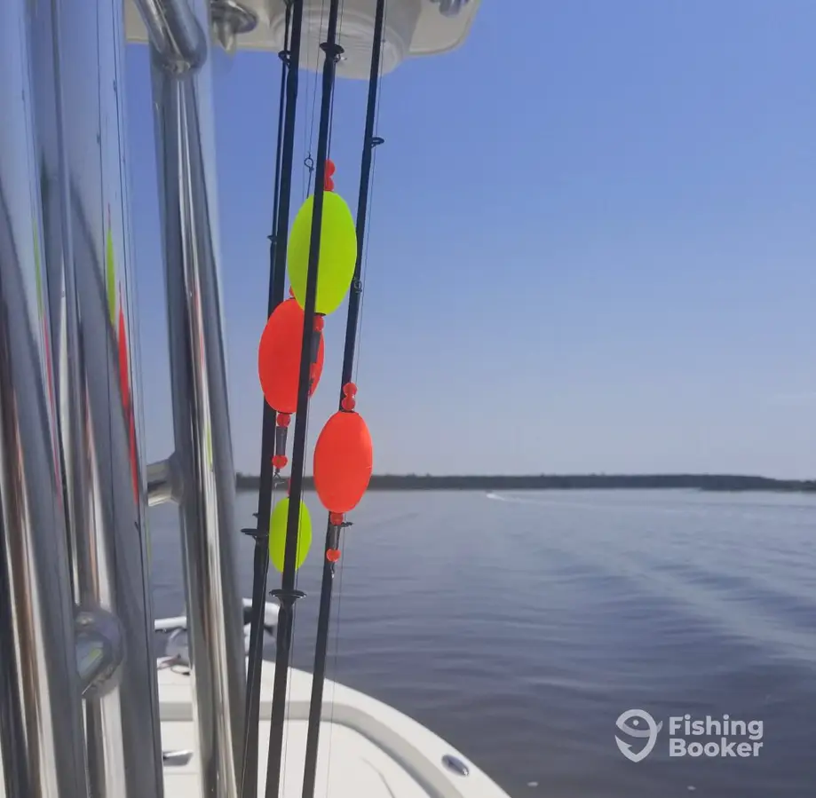 Captain Kaleb Charters charter image 4