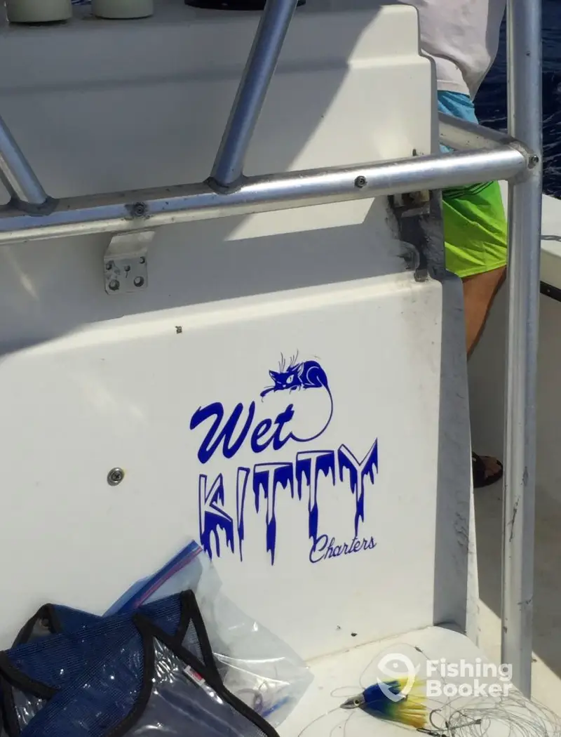 Wet Kitty Charters – High Water Adventure charter image 3
