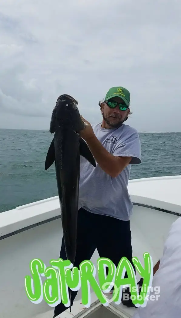Wet Kitty Charters – High Water Adventure charter image 5