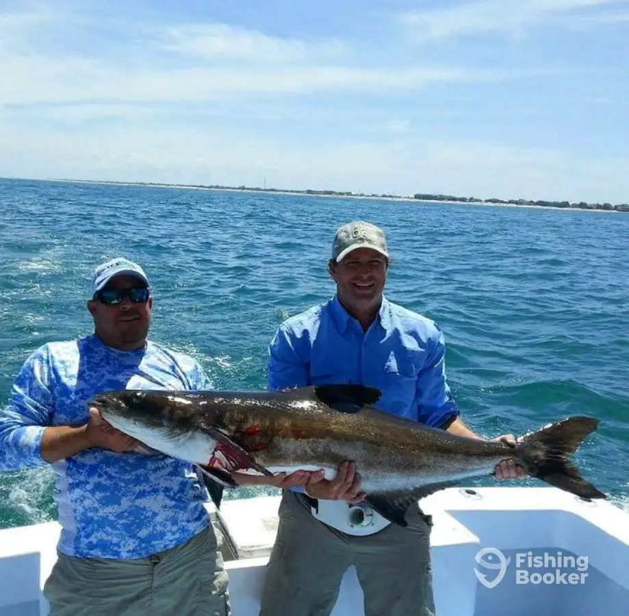 Sea Hunter 2 Sportfishing