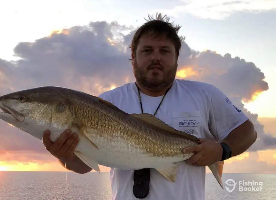 Mott Ridge Charters – Manteo charter image 3