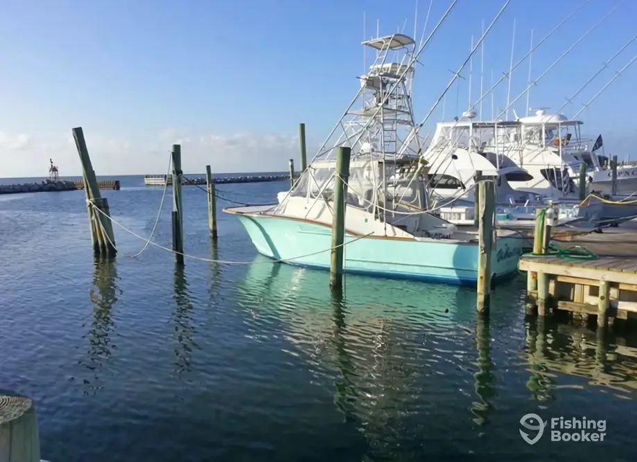 Whatever Sport Fishing charter image 4