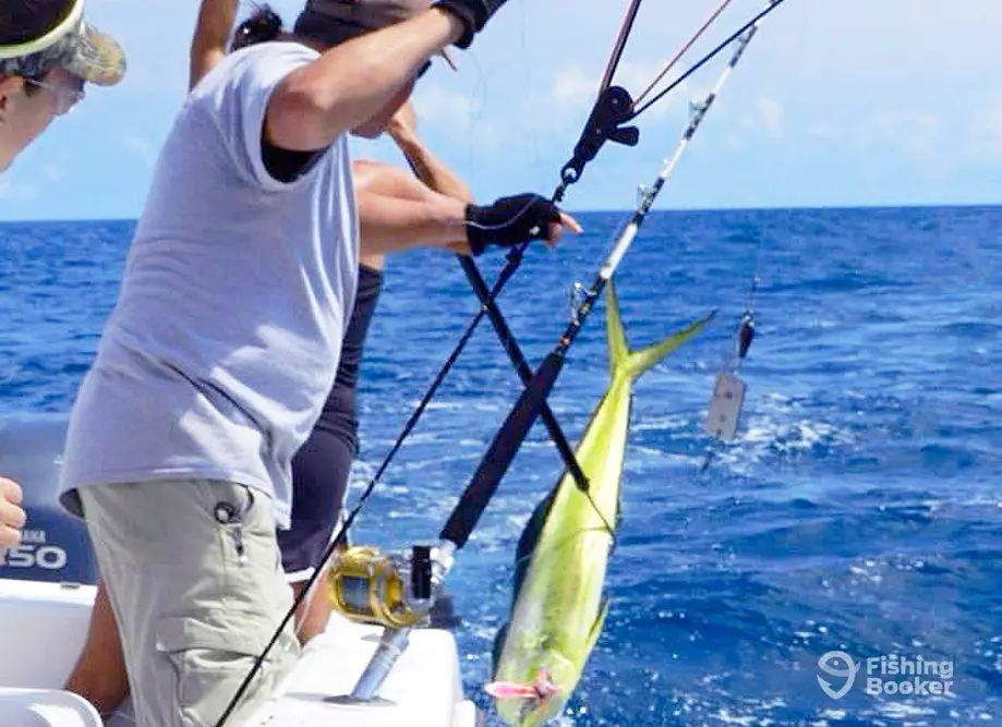 Southern Sportfishing charter image 2