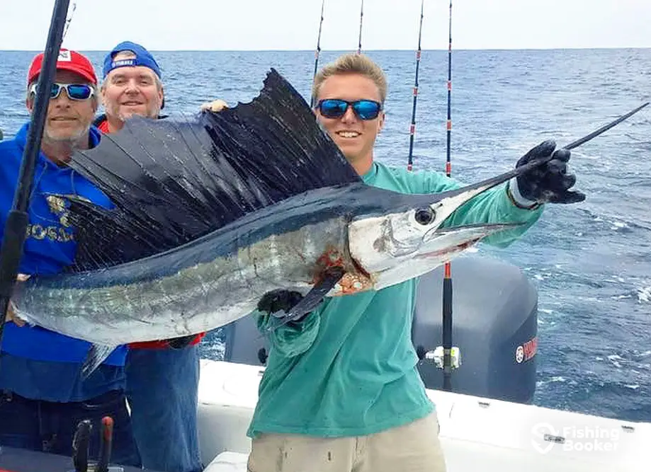 Southern Sportfishing charter image 3