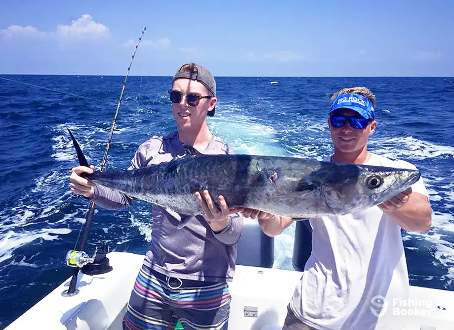 Southern Sportfishing charter image 5